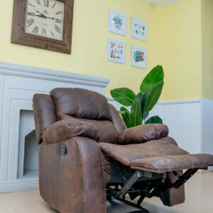 1-Seater Brown Recliner Chair